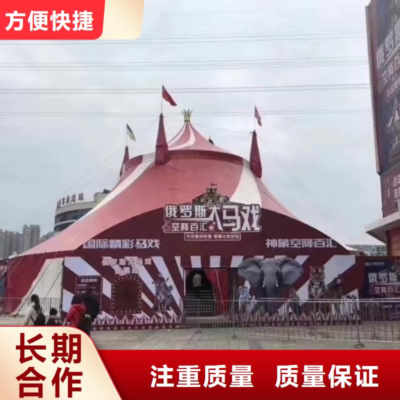 马戏团/羊驼马戏团表演出租租赁高性价比