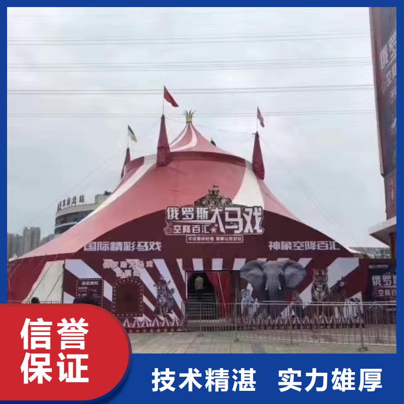马戏团/羊驼-杂技表演售后保障