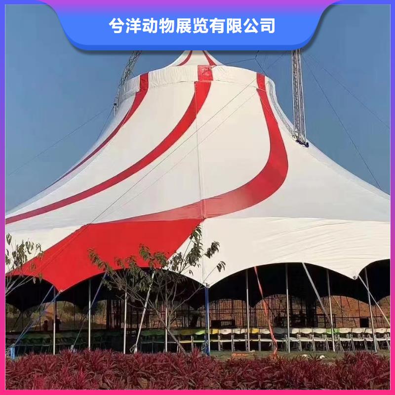 【匠心品质 马戏团/羊驼-美人鱼表演口碑公司】