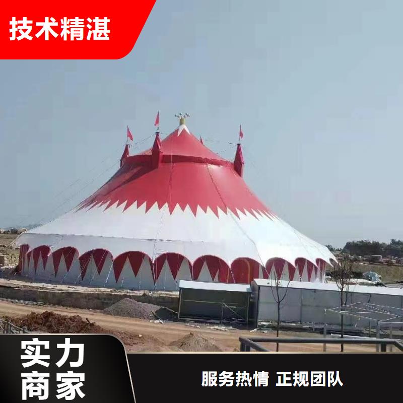 【马戏团/羊驼】观赏性羊驼租赁品质好