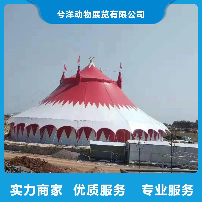 【马戏团/羊驼】,马戏团表演价格透明-市场覆盖|塔河|呼玛|佳木斯|鹤岗|黑河|牡丹江-企业旺旺