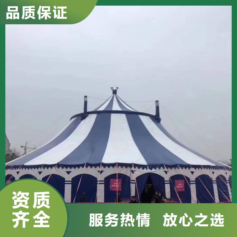 马戏团/羊驼【企鹅演出】专业