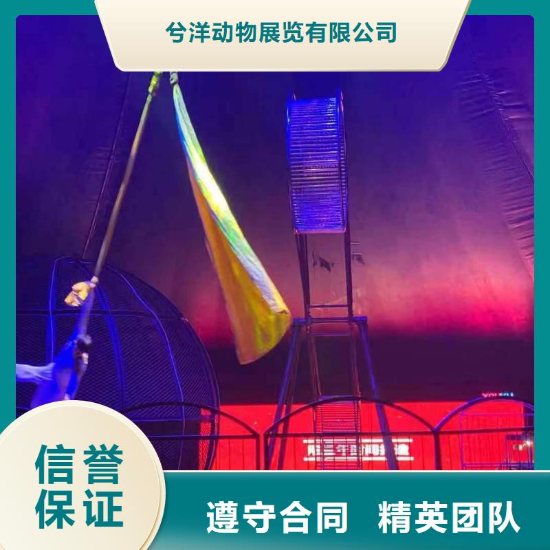 萌寵展出租直接廠家