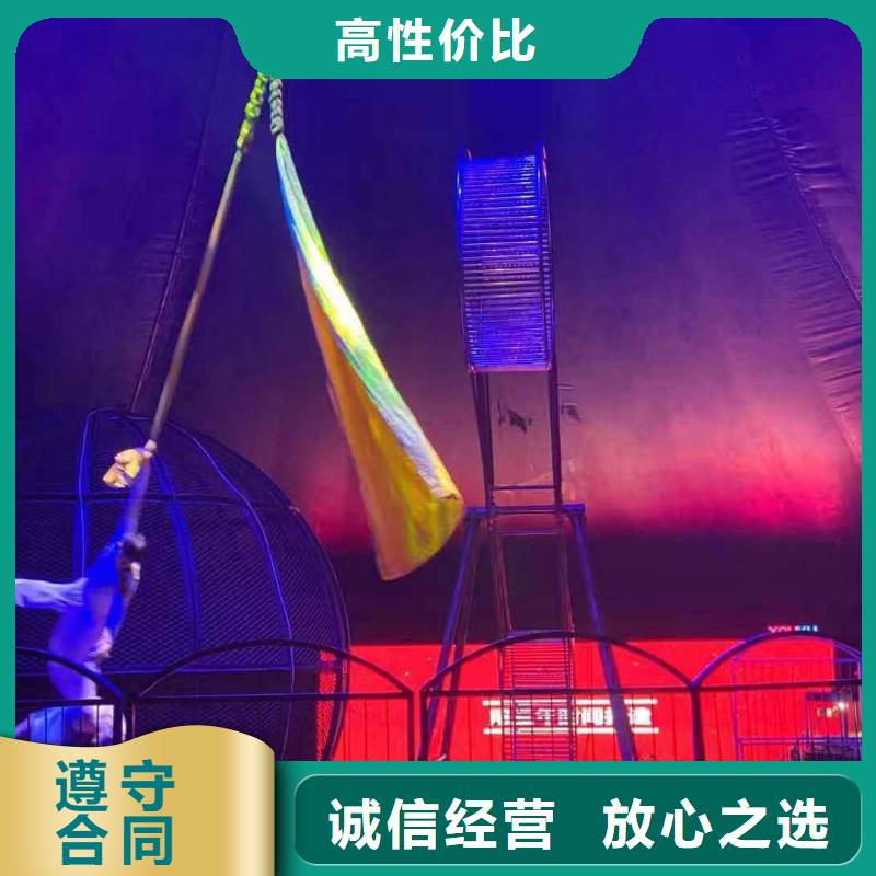 馬戲團/羊駝【房地產開盤慶典】先進的技術