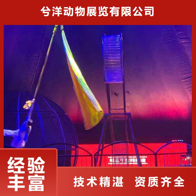 【 马戏团/羊驼-美人鱼表演口碑公司】-兮洋动物展览(十堰市分公司)