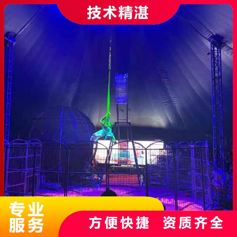 马戏团/羊驼【海狮表演】一站式服务