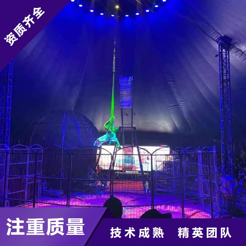 马戏团/羊驼出租羊驼解决方案