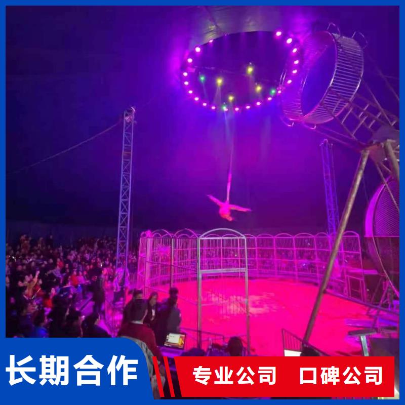 马戏团/羊驼美人鱼表演资质齐全