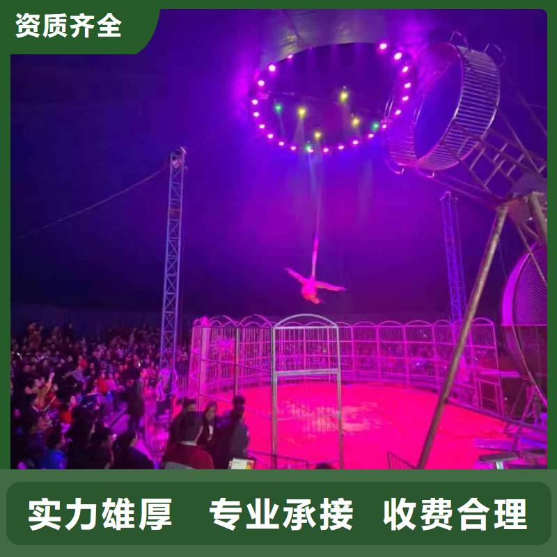 马戏团/羊驼【出租企鹅表演】价格美丽