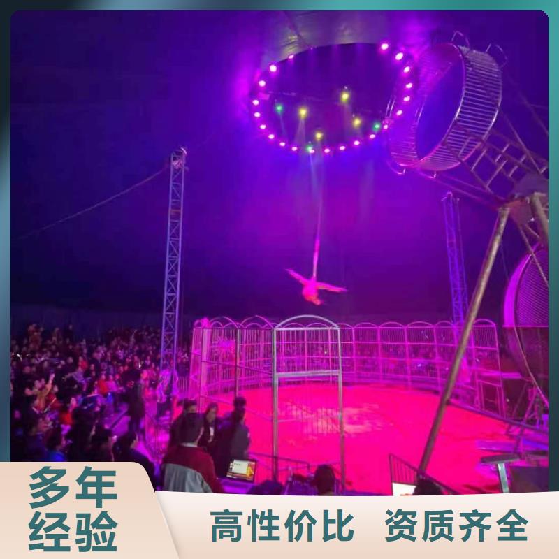 環球飛車表演租賃創意方案