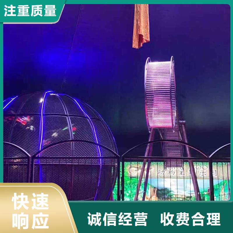 马戏团/羊驼 【美人鱼表演】一站搞定-兮洋动物展览(来宾市分公司)|覆盖地域合山|忻城|贺州|梧州|钦州|北海