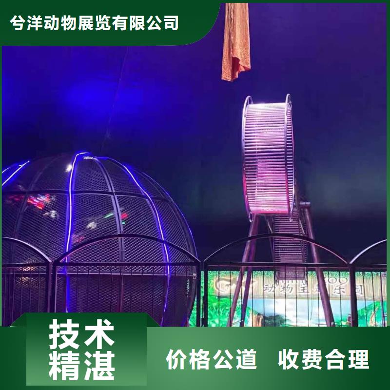 马戏团/羊驼小马戏表演出租资质齐全