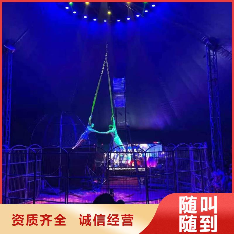 馬戲團/羊駝海豚表演技術可靠