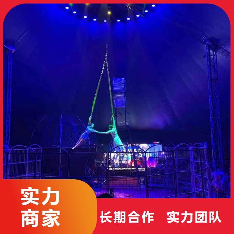【匠心品质 马戏团/羊驼-美人鱼表演口碑公司】