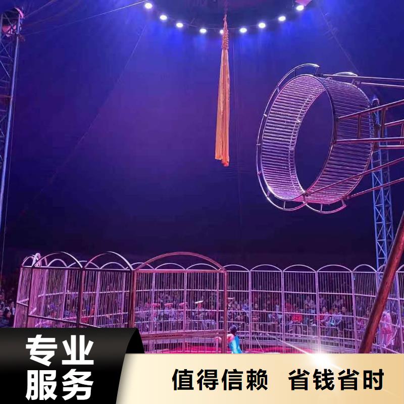 马戏团表演出租房地产活动