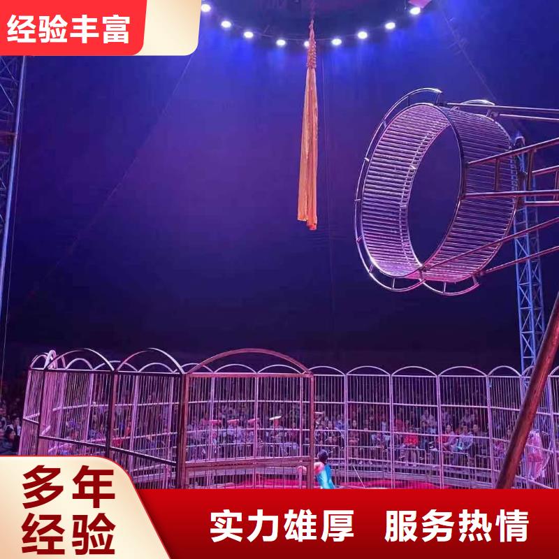 馬戲團/羊駝【房地產開盤慶典】先進的技術