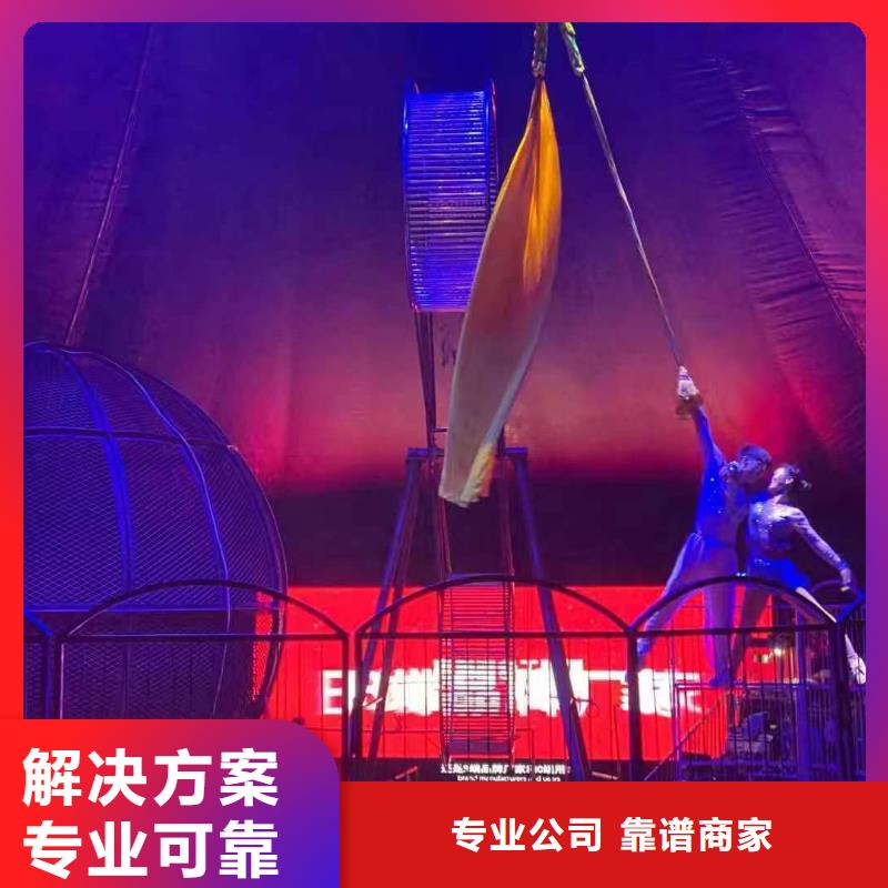 羊驼出售丰富多彩