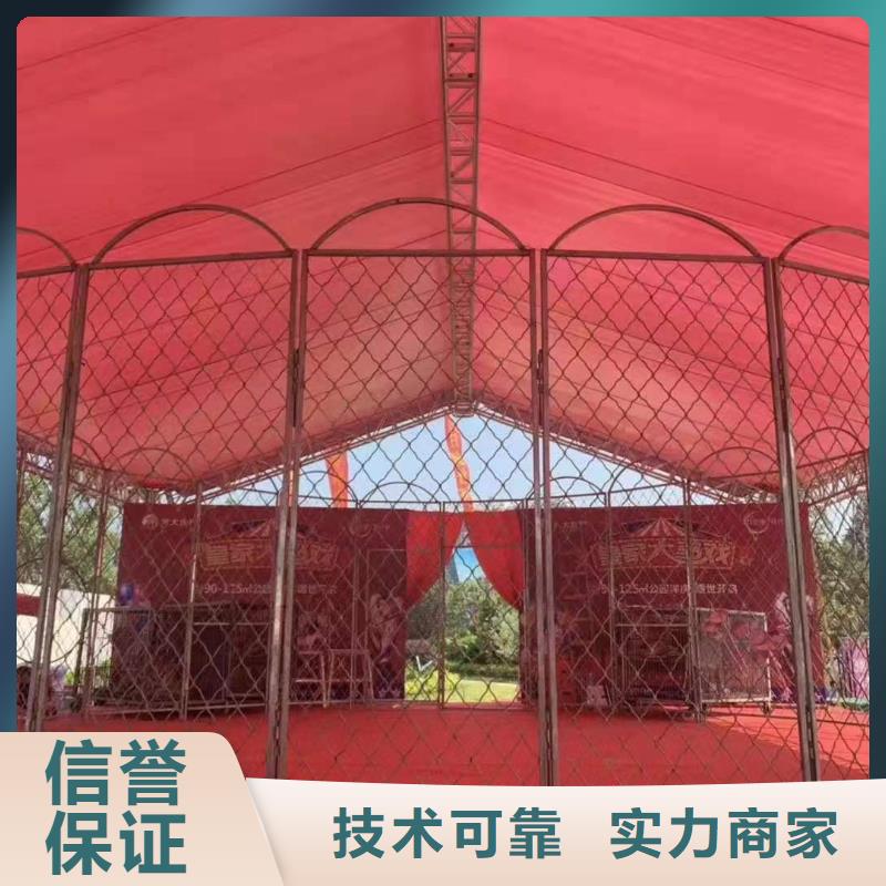 马戏团/羊驼-【美人鱼出租演出】省钱省时
