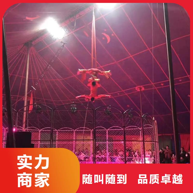 马戏团/羊驼海洋展租赁质优价廉