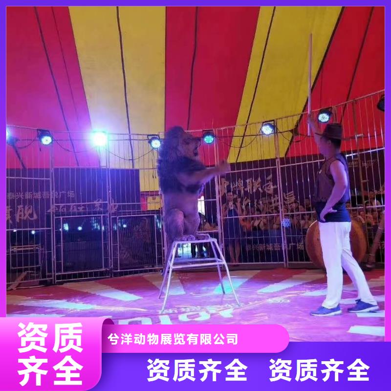 动物出租公司电话