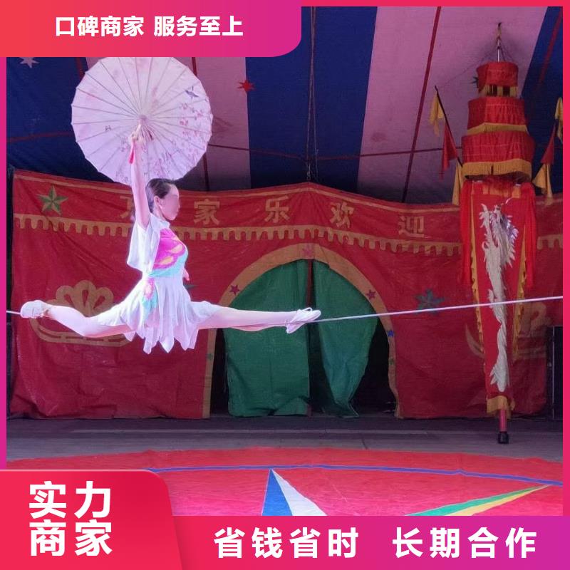 馬戲團/羊駝 租賃美人魚表演專業(yè)可靠