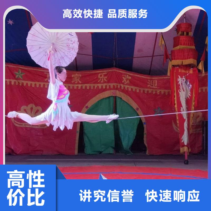 哪有出租动物的活动庆典