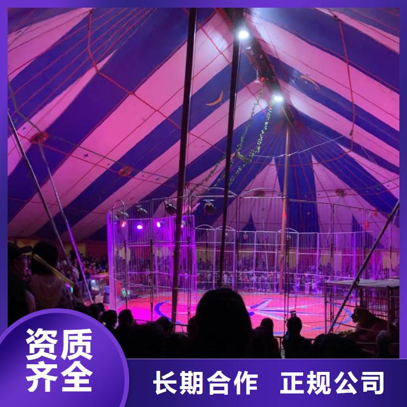 馬戲團(tuán)表演租賃附近