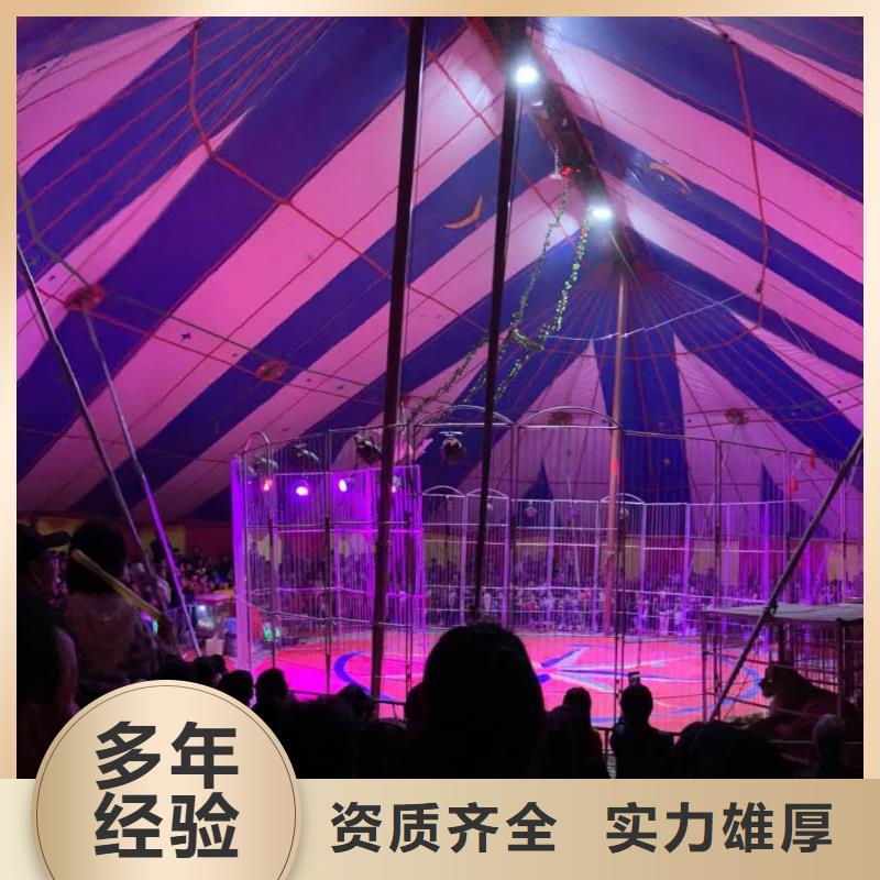 萌宠动物展租赁图片