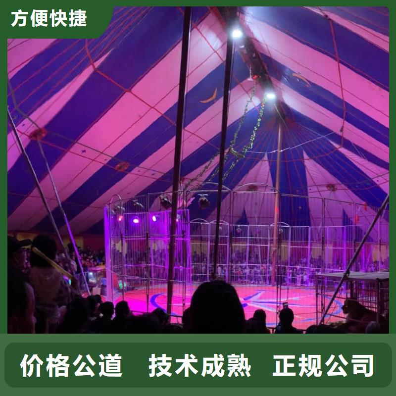 马戏团/羊驼【羊驼出租】技术精湛