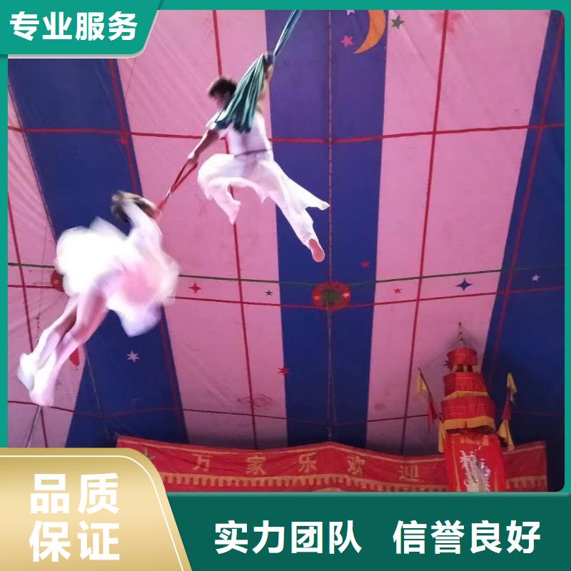 马戏团/羊驼【活体羊驼租赁】多年经验