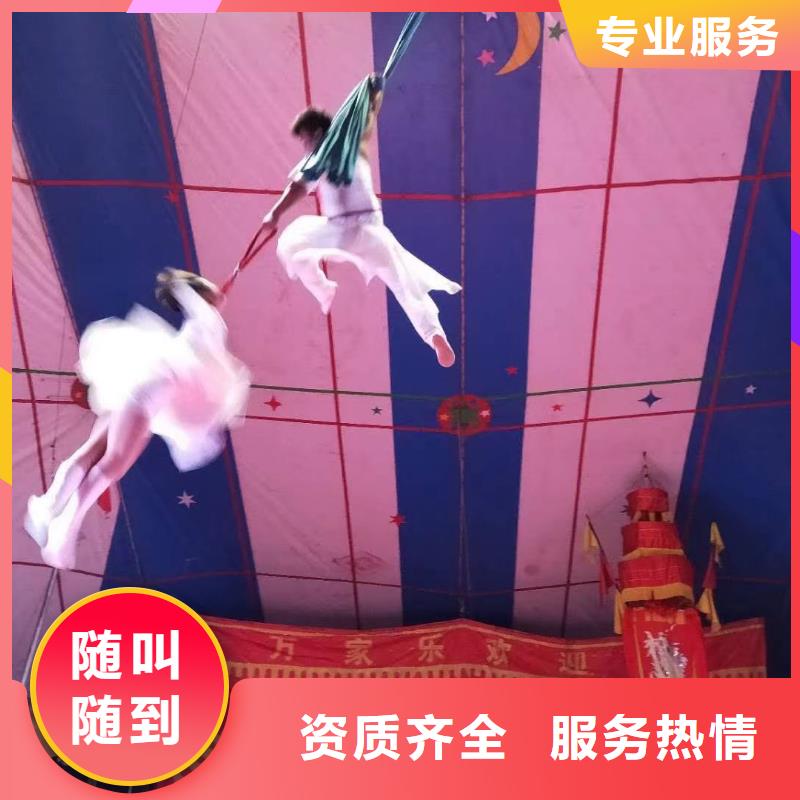 马戏团/羊驼美人鱼表演快速