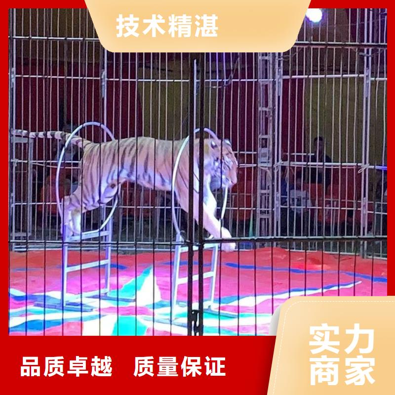 萌宠动物展出租庆典活动
