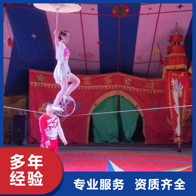 马戏团表演出租点击查看