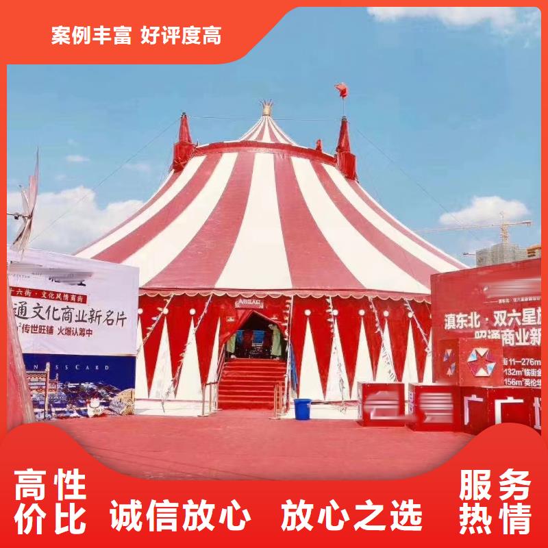 马戏团/羊驼【出租海狮表演】解决方案