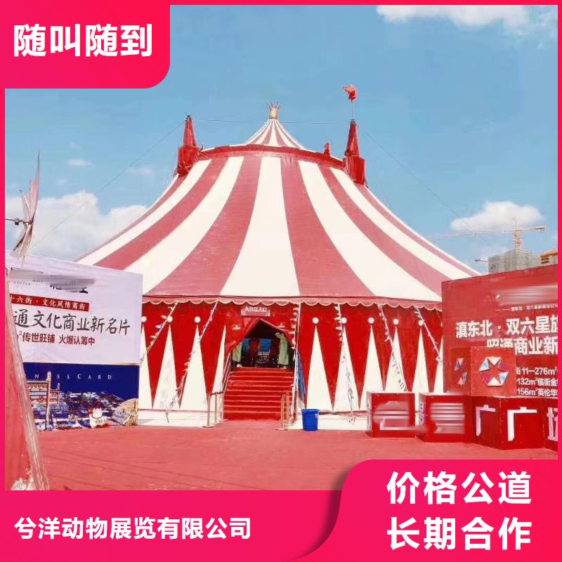 萌宠动物展出租庆典活动