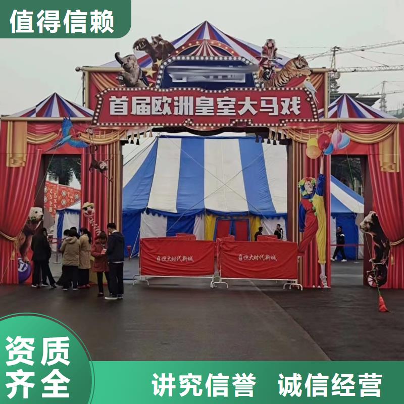 马戏团/羊驼萌宠动物展出租价格美丽
