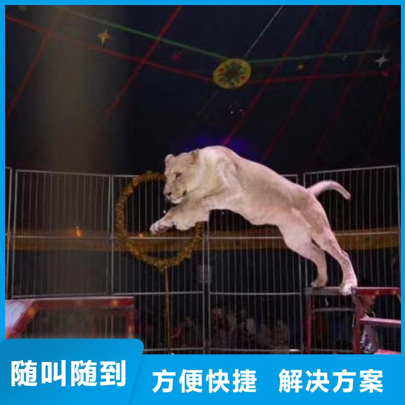 美人鱼表演视频-美人鱼表演(兮洋)覆盖地域安徽省滁州市全椒|南谯|池州|芜湖|铜陵|亳州|巢湖|宣城