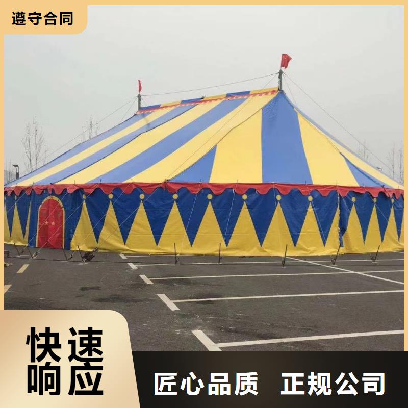 马戏团/羊驼 【美人鱼表演】一站搞定