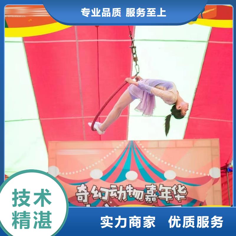 马戏团/羊驼萌宠动物展出租价格美丽