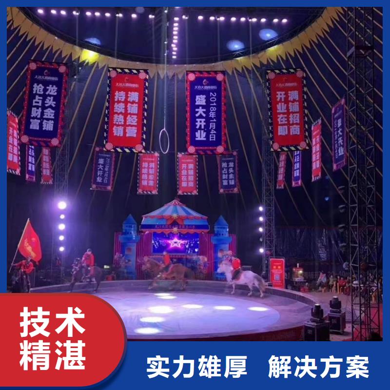 【马戏团/羊驼-海狮表演出租高性价比】-(江西)买【兮洋】