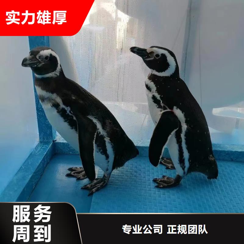 海洋生物展租赁丰富多彩
