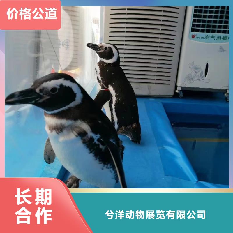 海洋生物鱼缸展出租免费策划