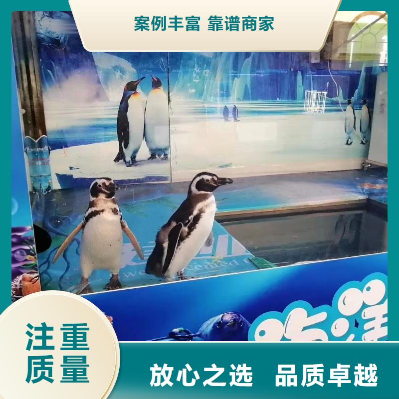 海洋生物展租赁