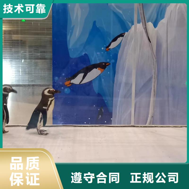 海洋主题动物表演美人鱼表演售后保障