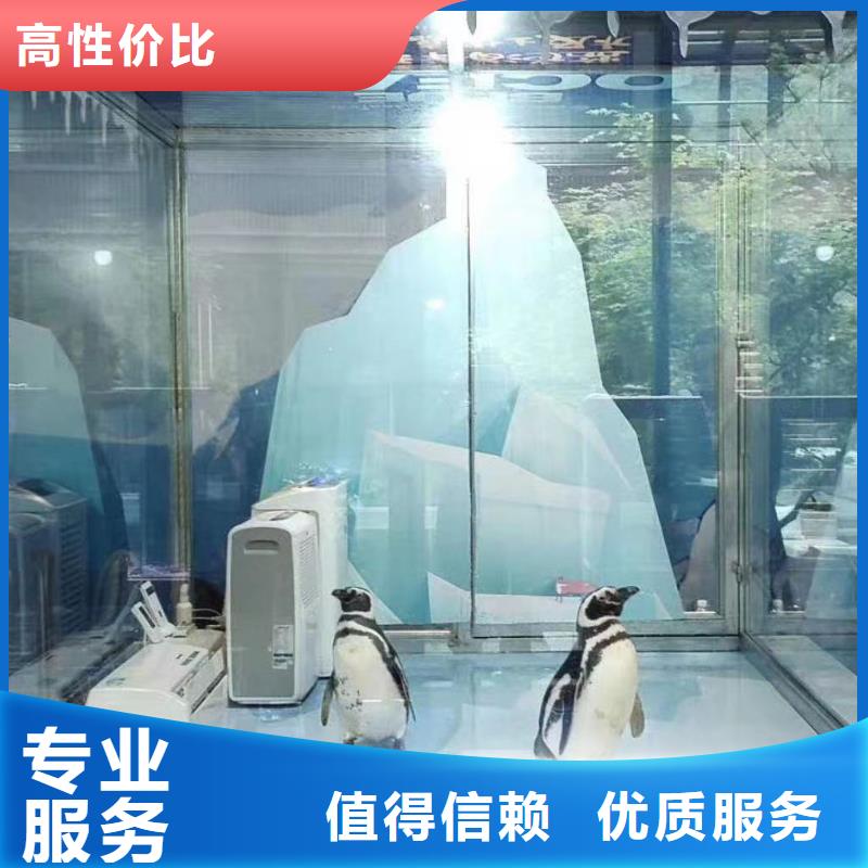 海洋生物展出租