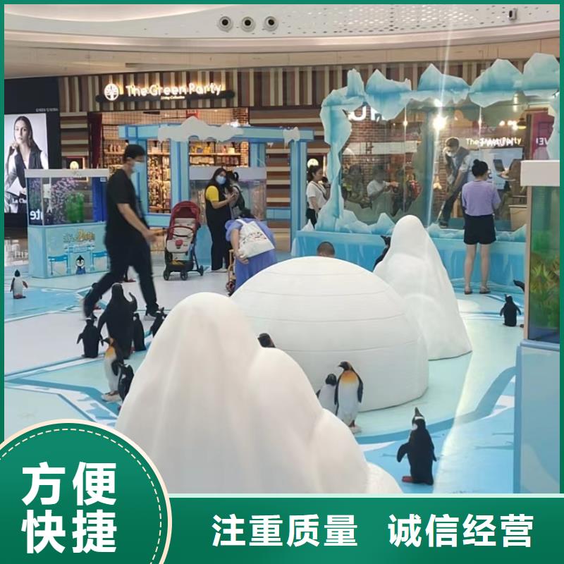 兮洋美人鱼表演【海洋主题动物表演羊驼出租品质服务】企业旺旺