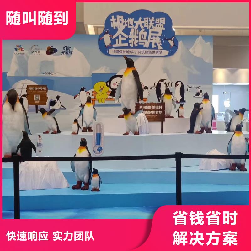 海洋主题动物表演_美人鱼表演出租实力公司