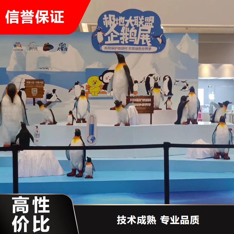 海洋主題動物表演_【海獅租賃表演】服務周到