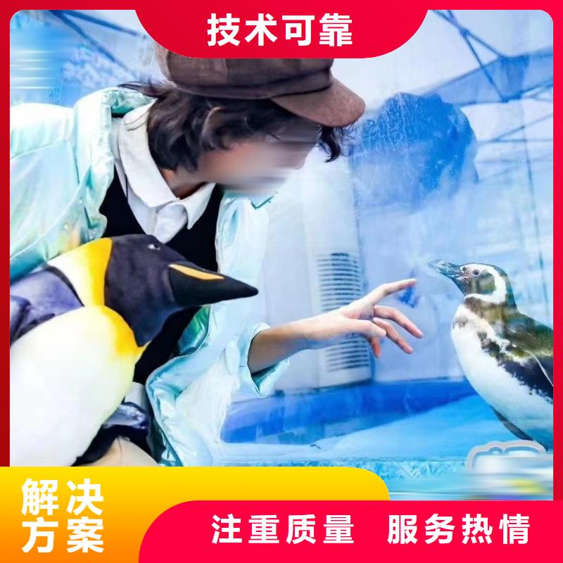 海洋主题动物表演房地产开盘庆典诚实守信