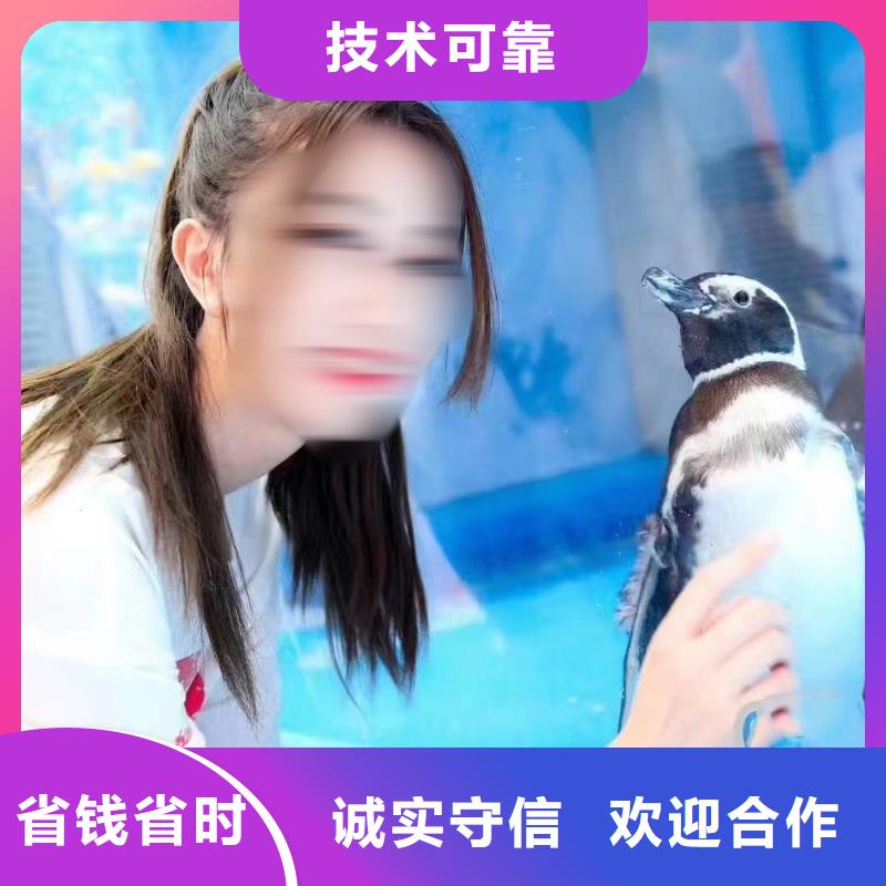 海洋主题动物表演_鹦鹉表演出租实力公司